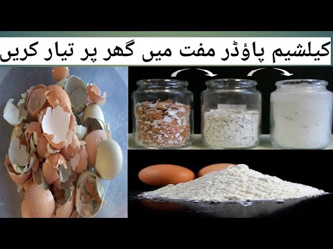 Video: How To Make Shell Powder