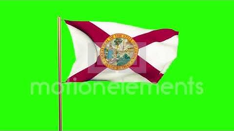 Florida Flag Waving In The Wind. Green Screen, Alpha Matte. Loopable Animation Stock Animation