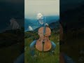 Viva La Vida - Coldplay #cello #coldplay #cellocover #cellomusic #cellist