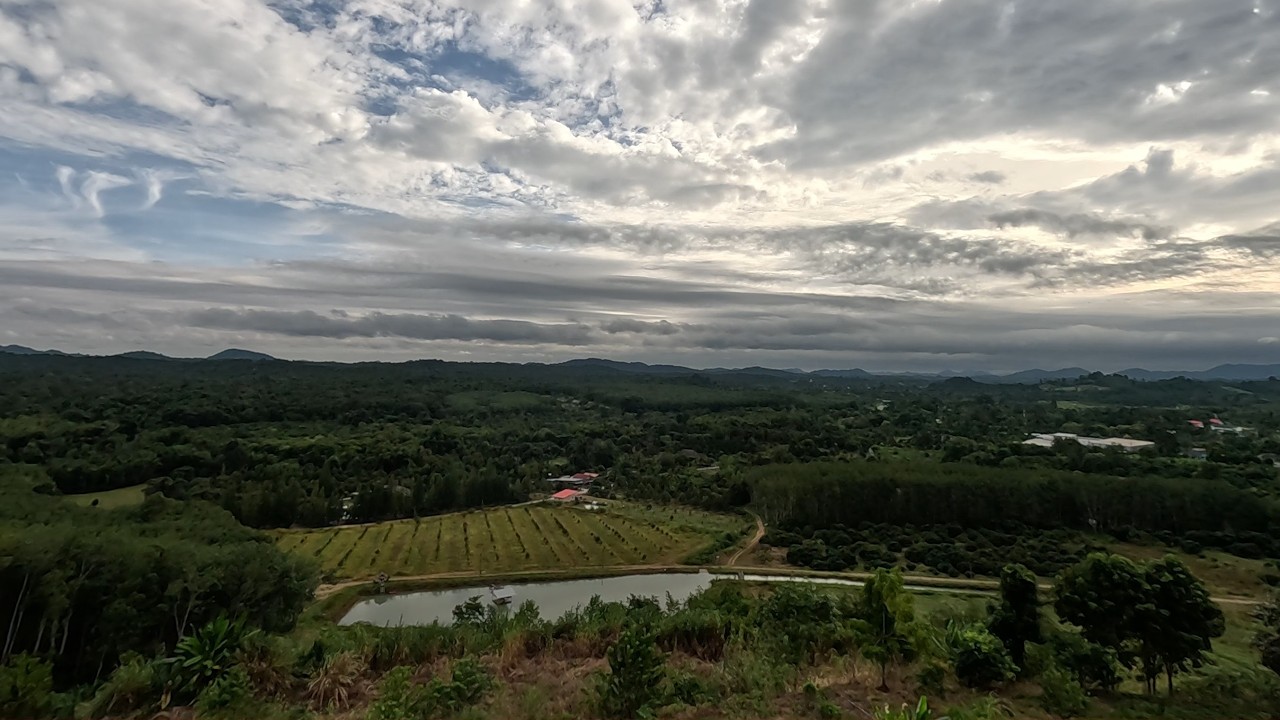 Thailand. Pong Nam Ron District. To the border Thailand | Cambodia. 10.2025. GX011372-97