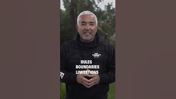 Stop Dog Resource Guarding and Food Aggression! #dog #dogtrainer #dogtraining