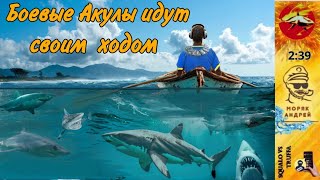 видео: Телефонное мошенничество. Автор Андрей Моряк картинка: Телефонное мошенничество. Автор Андрей Моряк