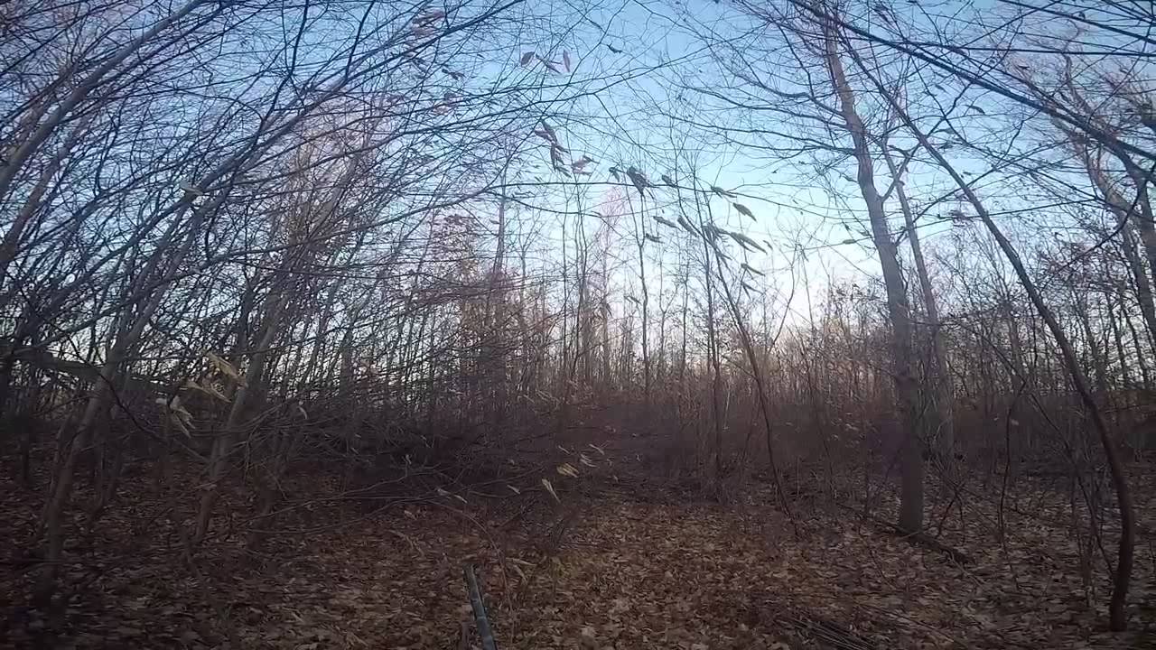 New York Rabbit Hunting YouTube