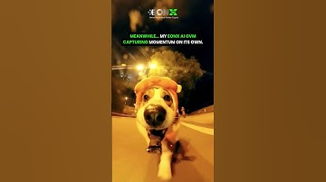 #aitools #aimemes #memes #aicommunity #aivideo #aiusecases #aifunnyanimals #eonxai