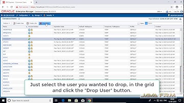 Oracle Database 18c Express Edition Tutorial - Drop Common User using Enterprise Manager