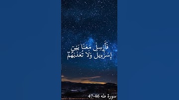 القارئ يوسف عثمان | تلاوة خاشعة