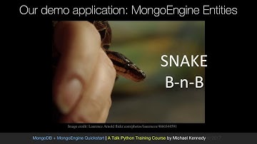 MongoDB and Python Quickstart (5/21): Demo: Defining mongoengine entities (classes)