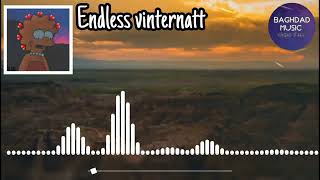 اغنية تركتني مترجمة )( Endless)(Vinternatt) Resimi