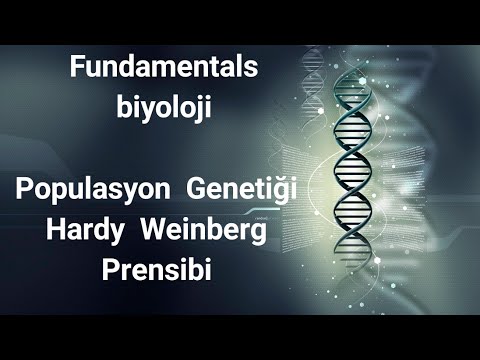 Populasyon Genetiği ve Hardy-Weinberg Prensibi