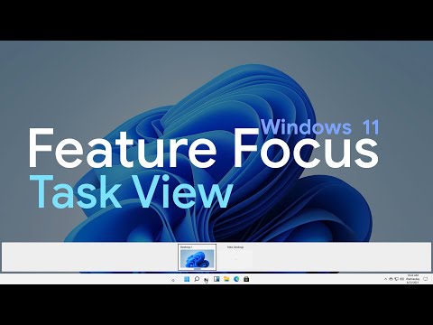 Feature Focus: Windows