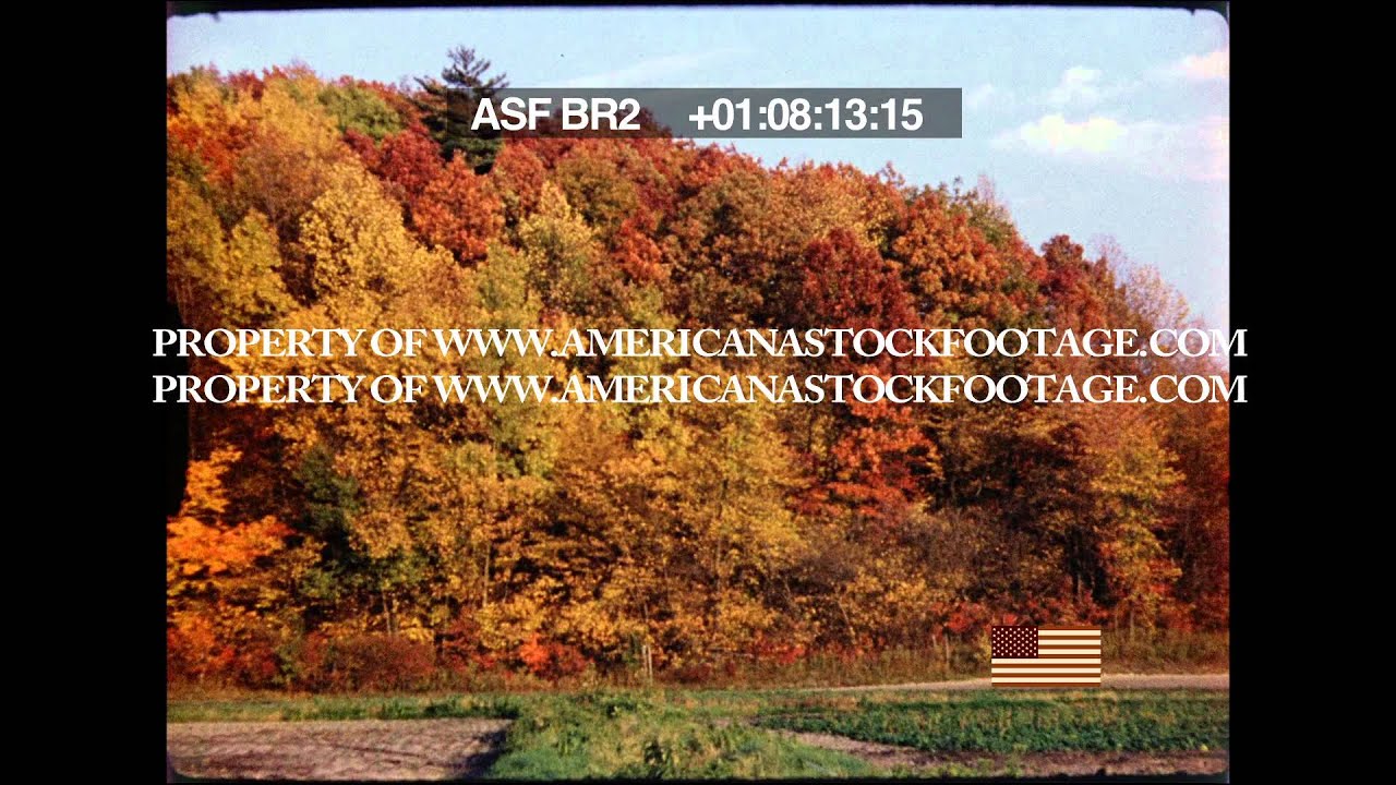 ASFBR2 FallScenes 2 B