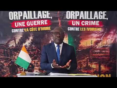 ORPAILLAGE ILLÉGAL: CHARLES BLÉ GOUDÉ DÉNONCE "UNE GUERRE CONTRE LA CÔTE D'IVOIRE"
