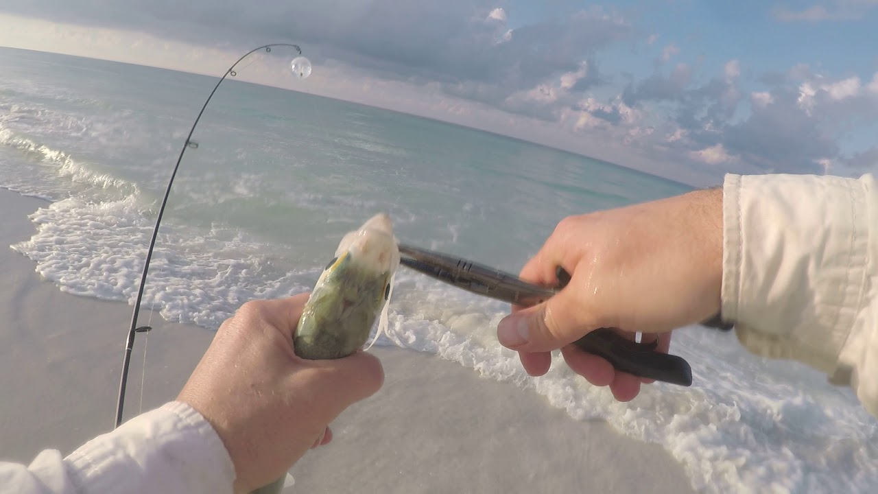 Surf fishing for ladyfish in Destin Florida YouTube
