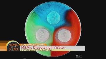 Slap You with Science: M&M’s Dissolving