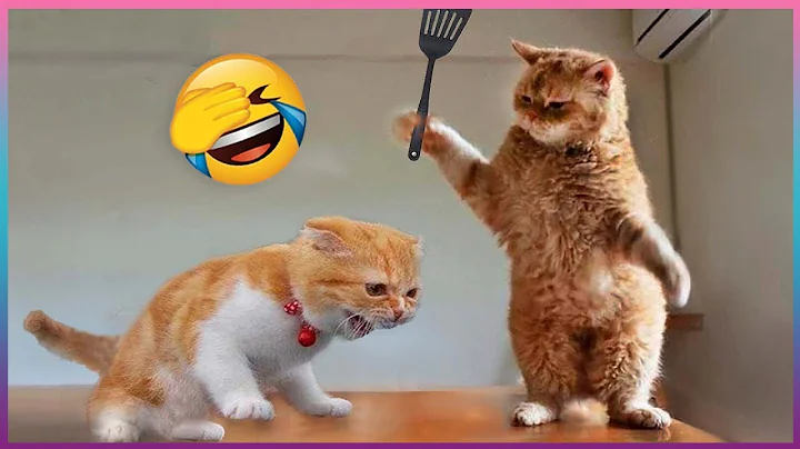 Приколы С Животными / Попробуй Не Засмеяться! / Funny Animals / САМЫЕ СМЕШНЫЕ ЖИВОТНЫЕ #8