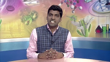 Introduction to Laws (338) - Introductory Video