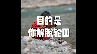 201902 目的是你解脱轮回51003