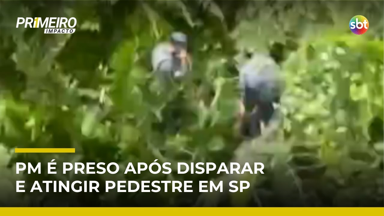 PM é preso após trabalhador ser baleado por disparo durante operação em SP | 