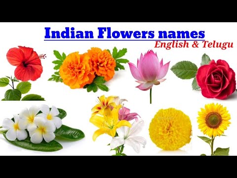 Indian Flowers Names
