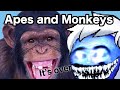 Best of apes and monkeys oneyplays compilation otto heckel original