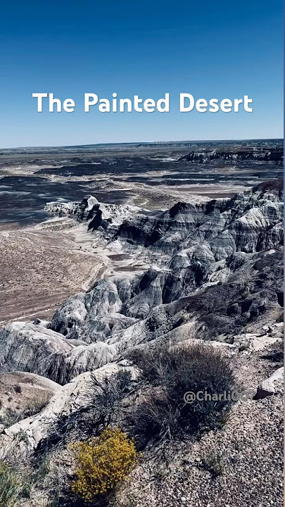 This Desert Looks Like Another Planet! Painted Desert #az #arizona #petrifiedforest #travel #phoenix
