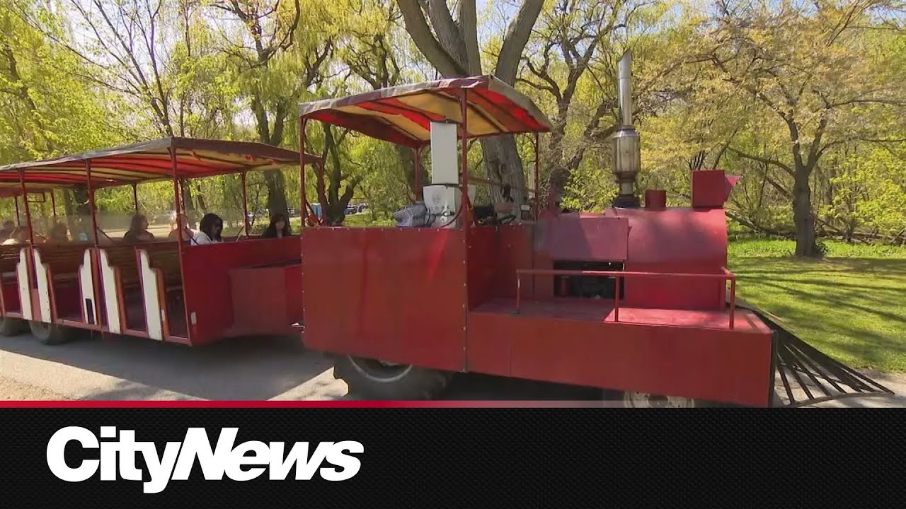 Plan to replace High Park trackless train with a new tram service goes to city council
