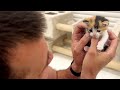 The big man picked up baby kitten and was blown away by its cuteness