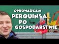 OPROWADZAM PERQINSA PO GOSPODARSTWIE