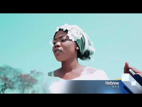 IPEMI official video