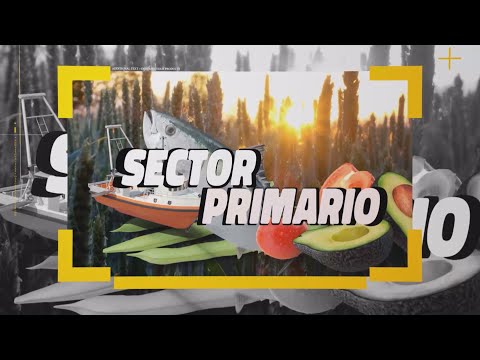 Sector Primario  21 de julio de 2021   21 07 21