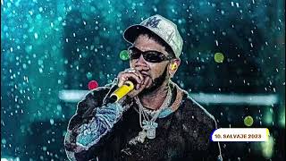 Anuel AA - Salvaje 2023 (Visualizer Oficial) | HLCBOMSVH