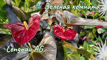 В поиске редких растений  2.