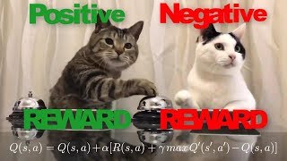 Reinforcement Learning In Real Life. Simple Explanation With Funny Cats