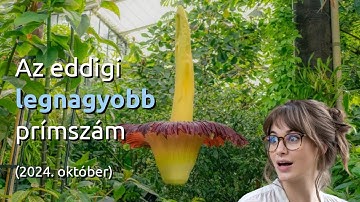 Az eddigi legnagyobb prímszám (2024. október)
