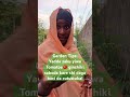 Yadda Zaku Yiwa Tomatoes рџЌ Ginshiki Don Ya Samu Kariya Daga Rubewa Da Cututtuka Shorts Yadda Zaku Yiwa Tomatoes рџЌ Ginshiki Don Ya Samu Kariya Daga Rubewa Da Cututtuka Shorts