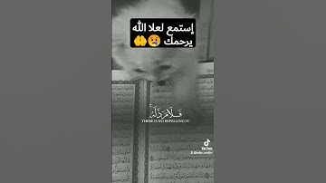 #راحة_نفسية #تلاوة_خاشعة #القرآن_الكريم #اكتب_شي_تؤجر_عليه #ارحقلبك #المسلمين