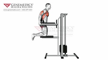 Assisted Chest Dip kneeling Chest Exercise