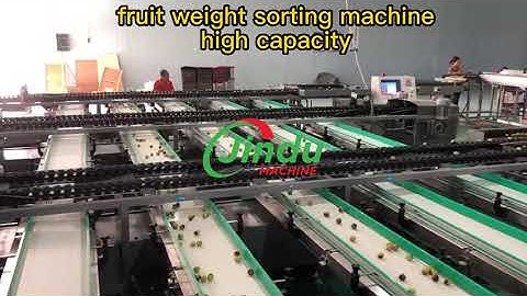 FAST and ACCURATE Weight Grading Sorting Machine for Dragon Fruit Avocado