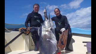 CHASSE SOUS-MARINE : LA FLÈCHE ET L'ÉPÉE