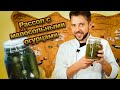 ¿CÓMO CURAR LA CRUDA? REMEDIO RUSO PARA LA RESACA. Los Pepinillos y Rassol.Рассол для похмелья.T1Ep6