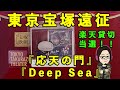 【510%】貸切公演当選!月組「応天の門」「Deep Sea」東京遠征!宝塚と東京の違い...!