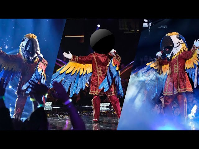 The Masked Singer - David Archuleta - All Performances and Reveal class=