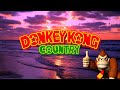 Donkey kong country  relaxing music with ocean waves  tenpers