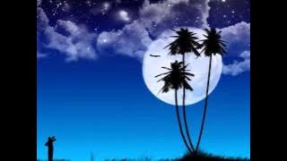 藍月亮 （徐小鳳 7）