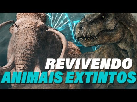 Vídeo: A Ressurreição De Espécies Extintas Começará Com Um Pombo Errante - Visão Alternativa