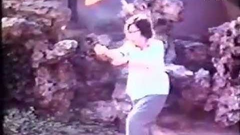 孫劍雲 孫氏五行拳