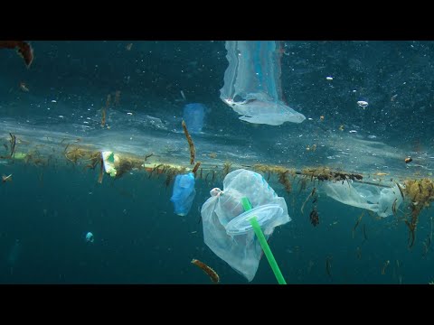 Video: Kaip Nustoti Naudoti Vienkartinį Plastiką