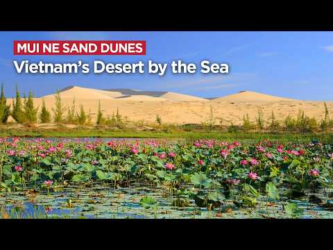 Mui Ne Sand Dunes: Vietnam’s Desert by the Sea