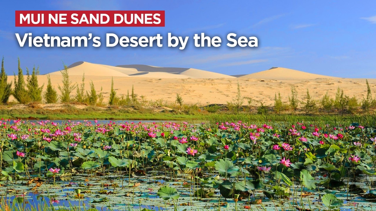 Mui Ne Sand Dunes: Vietnam’s Desert by the Sea
