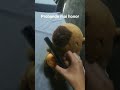 como lo detengo